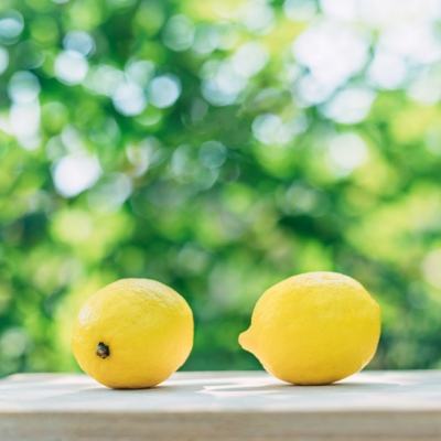 皇帝成长计划2小米版手游下载