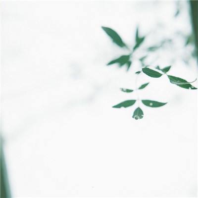赤炎霸业手游(暂未上线)v3.5.00 安卓版